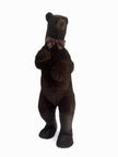 Ours Brun