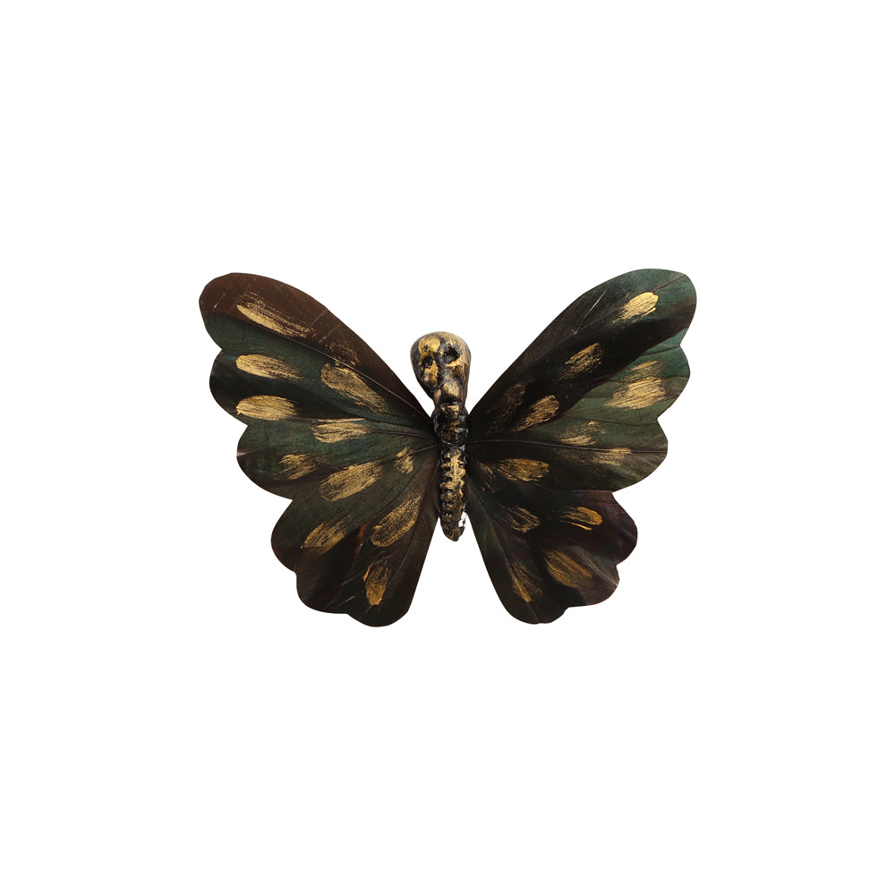 Papillon de foret tete de mort