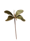 Papillon sur branche