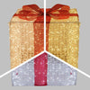 Paquet Cadeau 3D GTF SFN