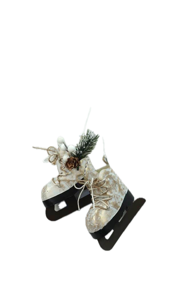Patins à glace
