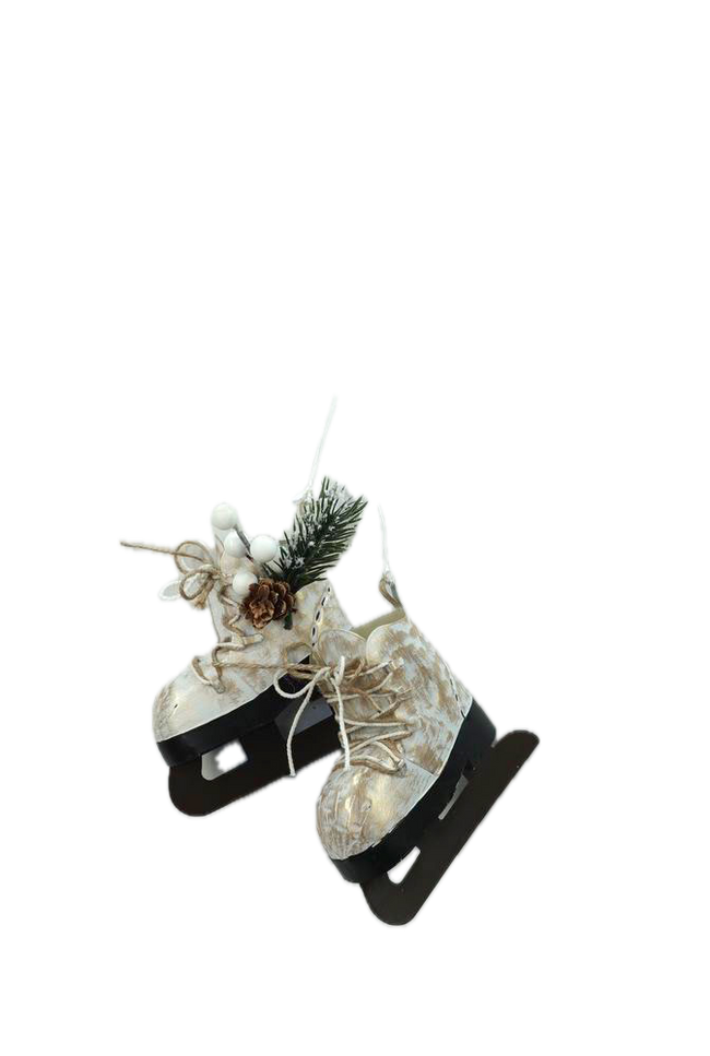 Patins à glace