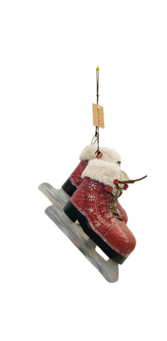 Patins à glace