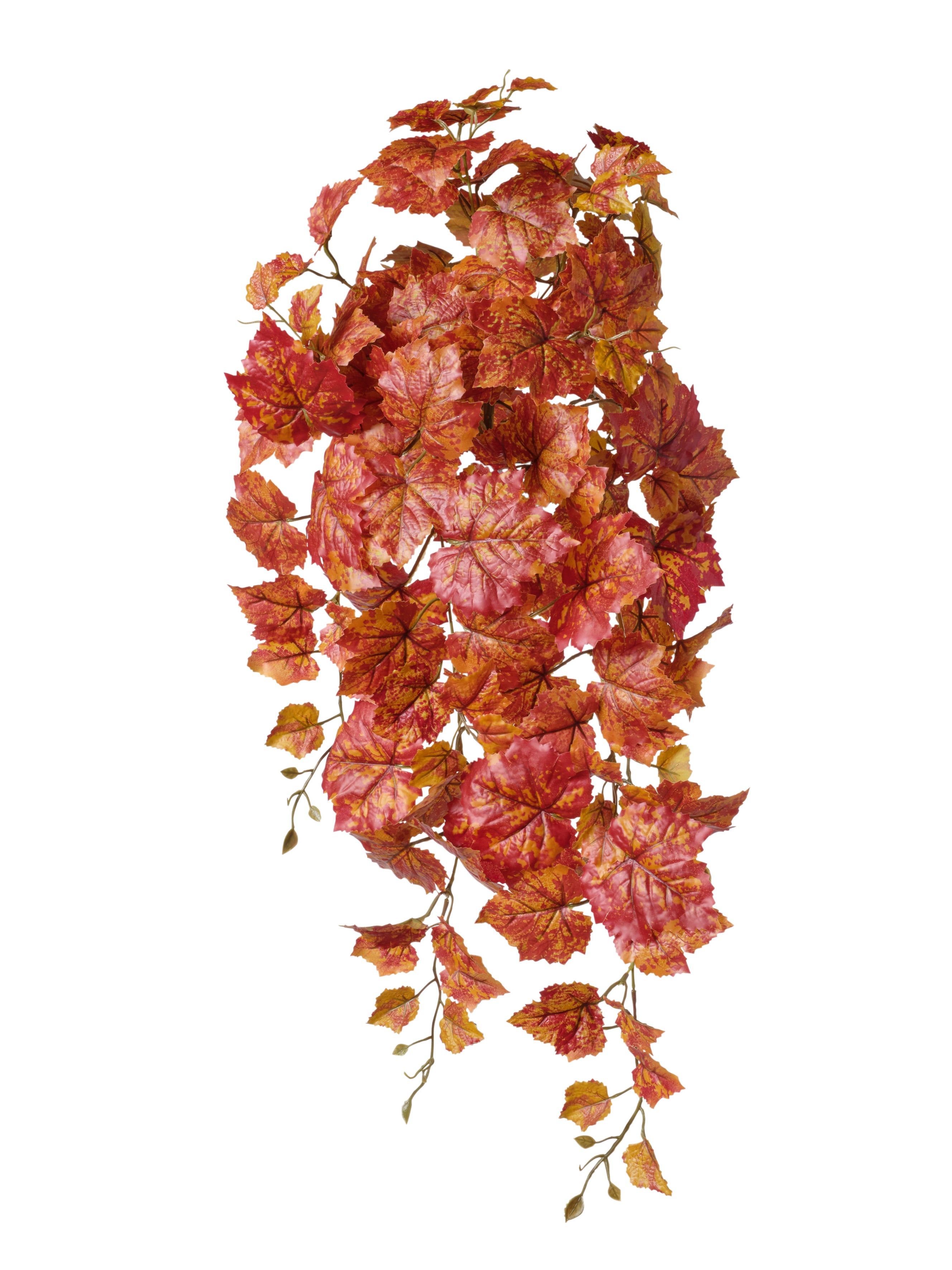 Pique de feuilles automne