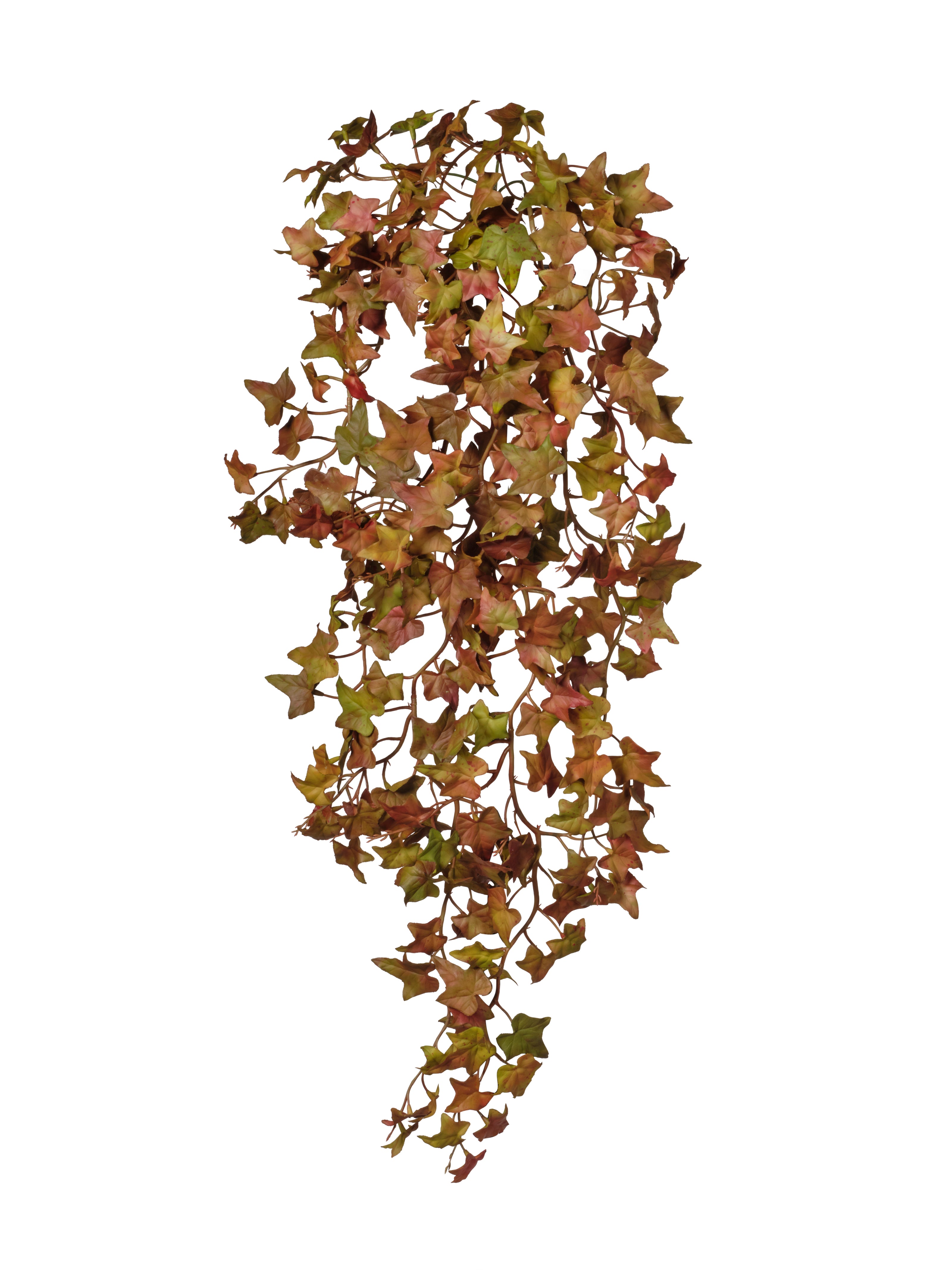 Pique de feuilles vert