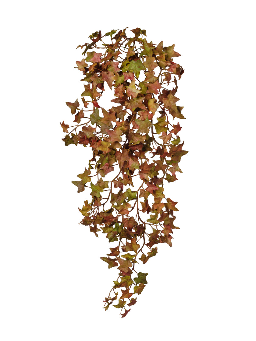 Pique de feuilles vert