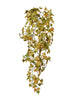 Pique de feuilles vert
