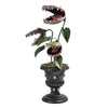 Plante carnivore