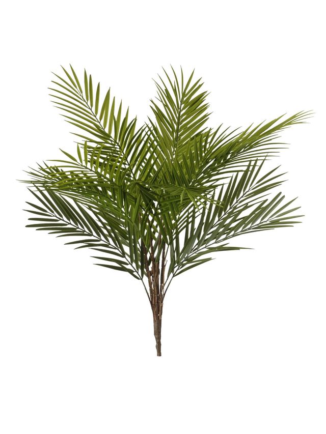 Bamboosa