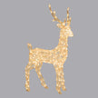 Renne 3D Dual LED SFN Acrylique