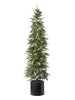 Sapin avec pot