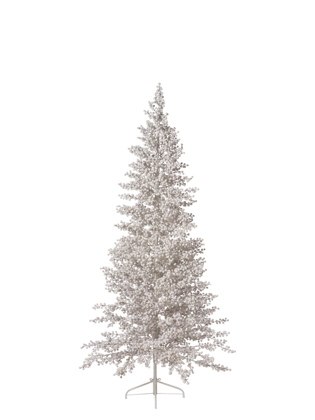 Sapin baies blanc