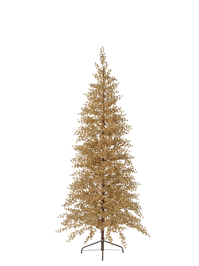 Sapin baies or