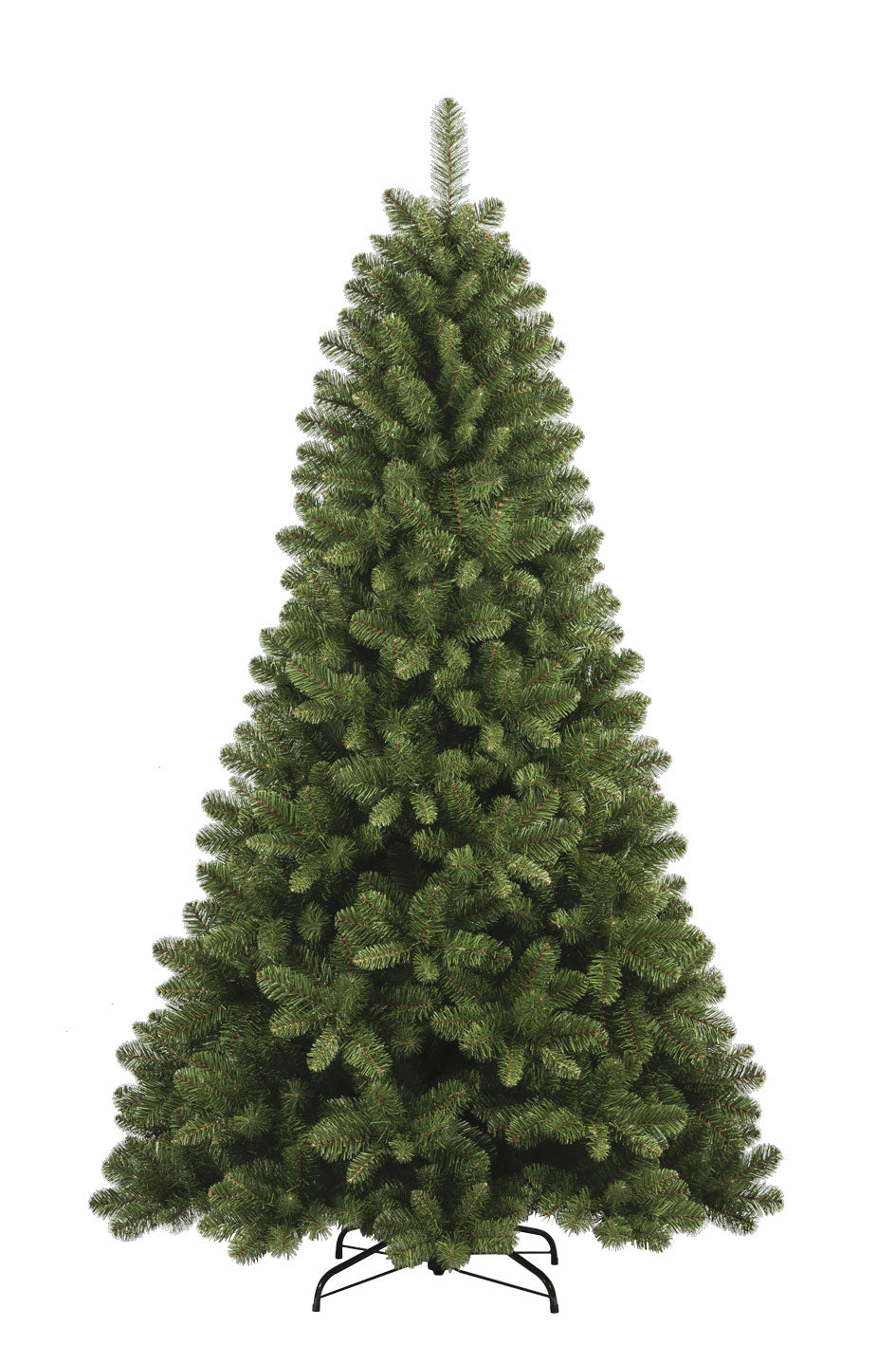 Sapin Colosseo