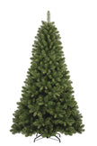 Sapin Colosseo