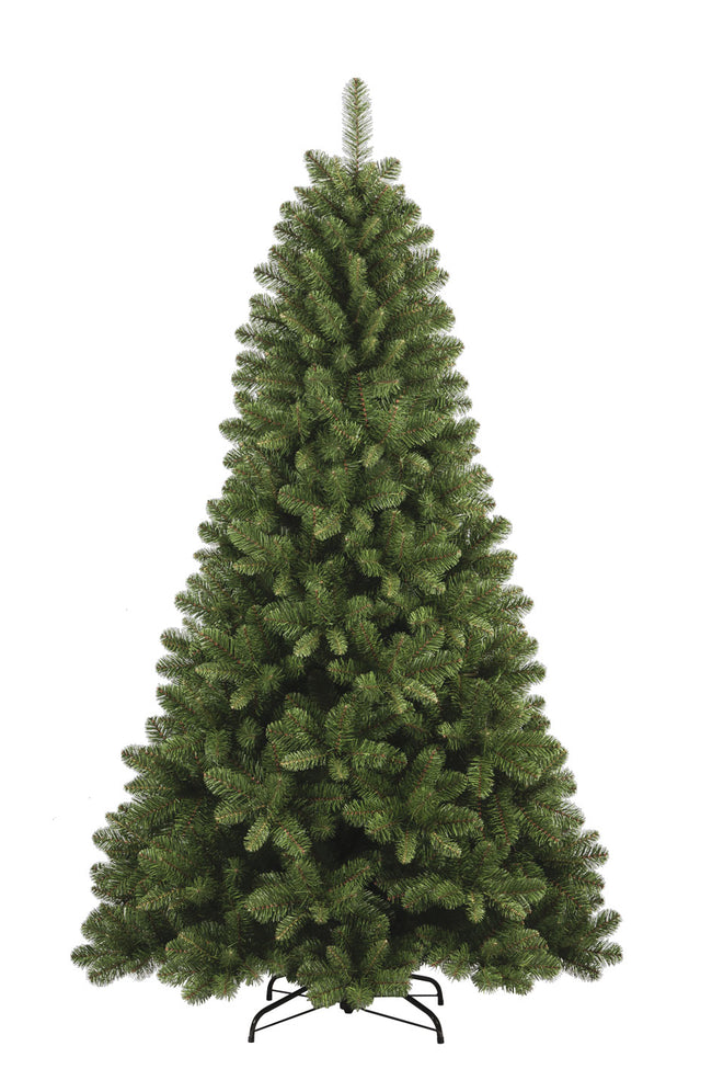 Sapin Colosseo