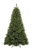 Sapin Colosseo