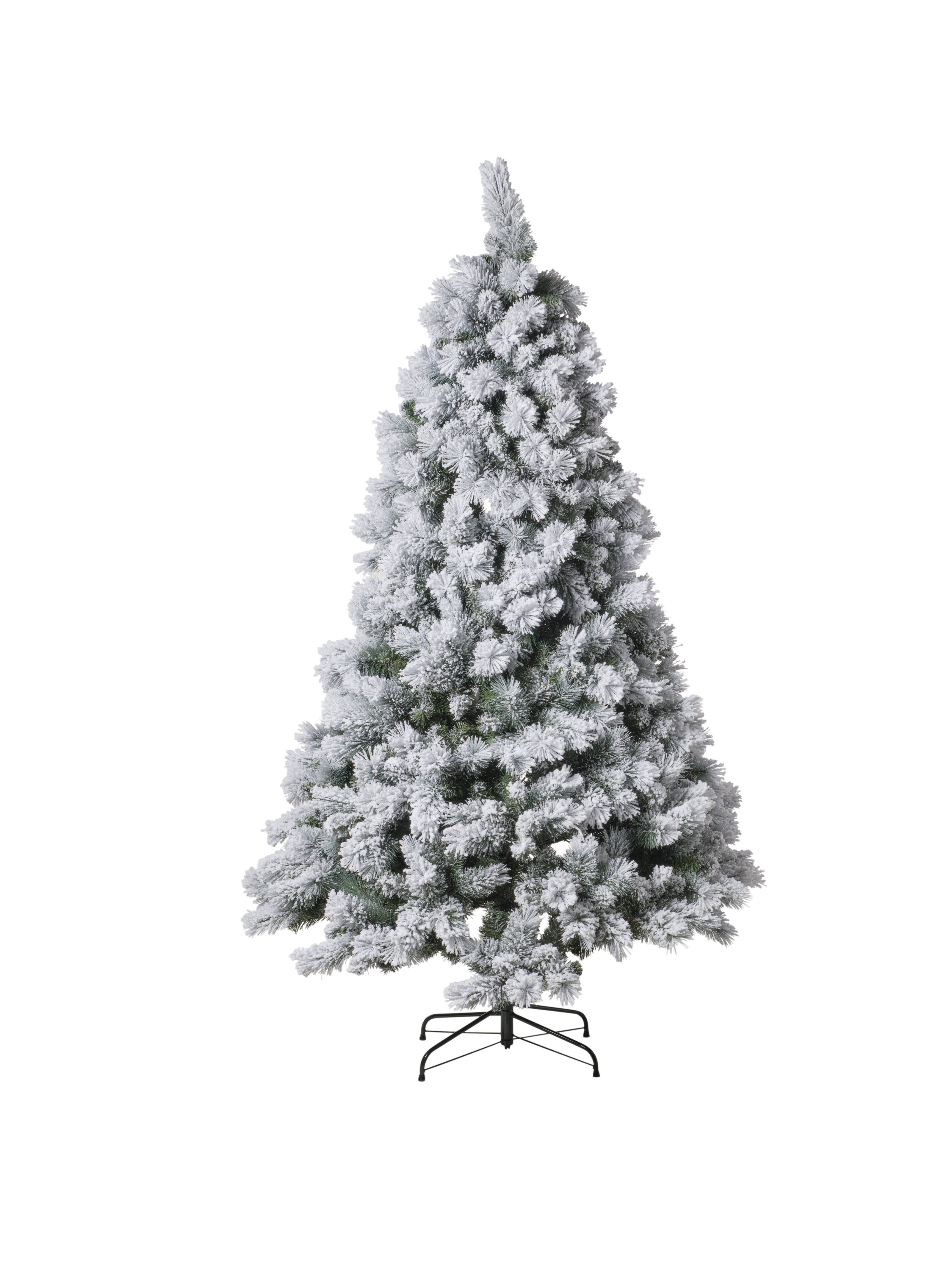 Sapin enneigé