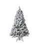 Sapin enneigé