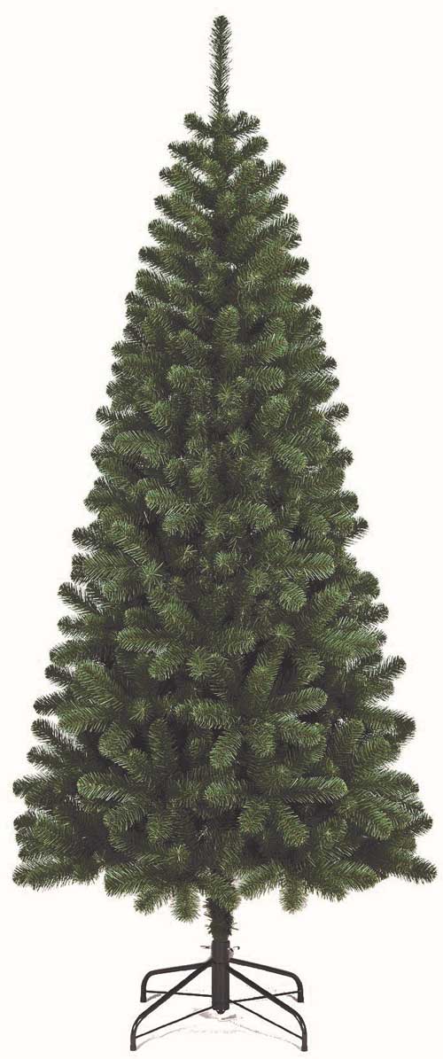 Sapin Kenya