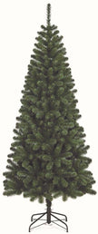 Sapin Kenya