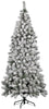 Sapin Kenya enneigé