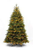 Sapin Louvre