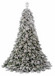 Sapin Pandora enneigé
