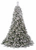 Sapin Pandora enneigé