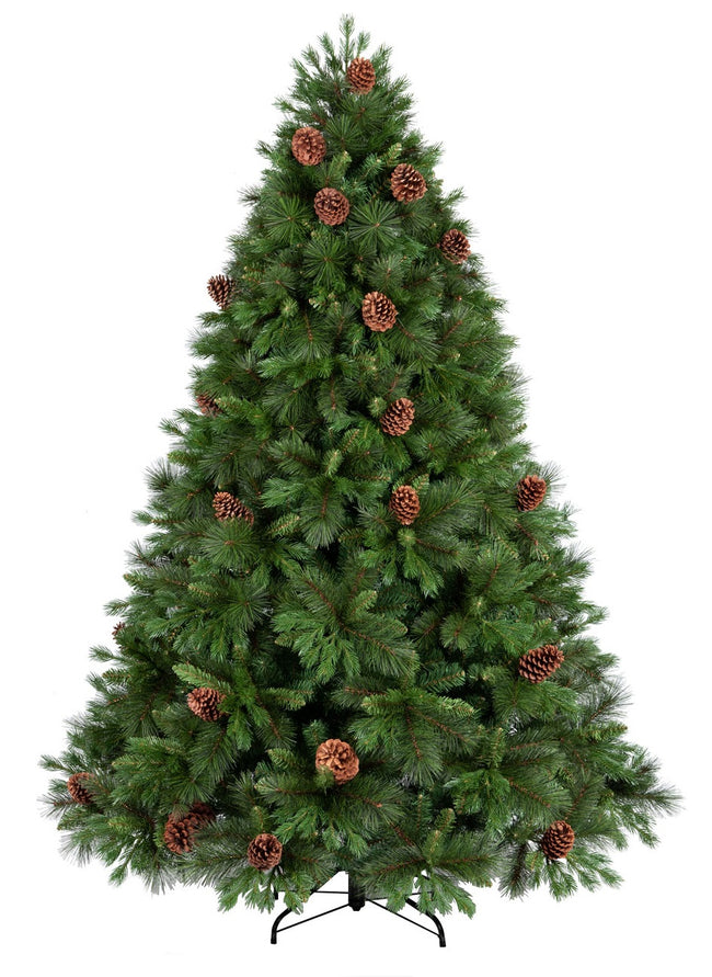 Sapin Star