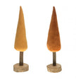 Sapin velours ambre
