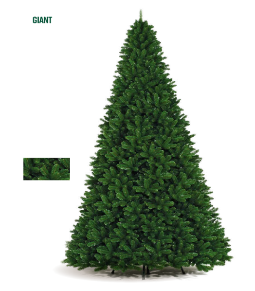 Sapin vert M1