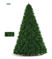 Sapin vert M1