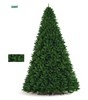 Sapin vert M1