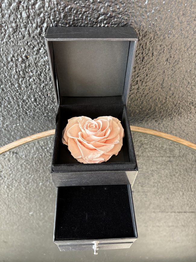 Boîte à bijoux A002P