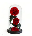 Duo sous cloche A022