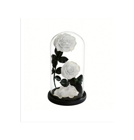 Duo sous cloche A022W