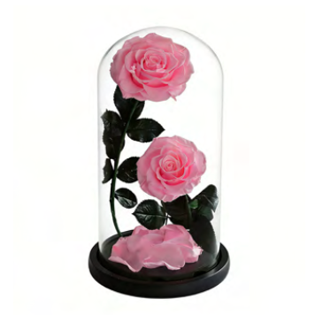 Duo sous cloche A022P