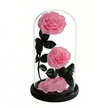 Duo sous cloche A022P