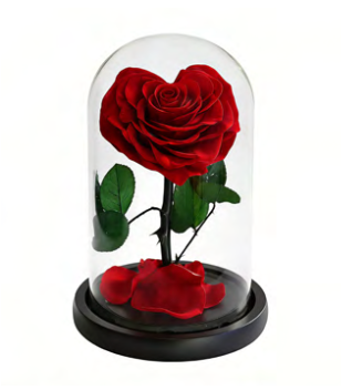 Rose en cœur sous cloche A003