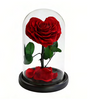 Rose en cœur sous cloche A003