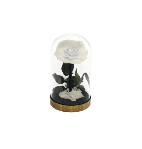 Rose sous cloche finition métal A016W