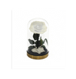 Rose sous cloche finition métal A016W
