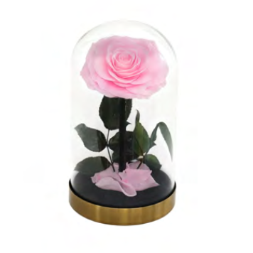 Rose sous cloche finition métal A016P