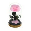 Rose sous cloche finition métal A016P