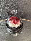 Rose sur nid sous cloche A007