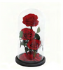 Trio sous cloche A006