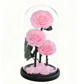 Trio sous cloche A006P
