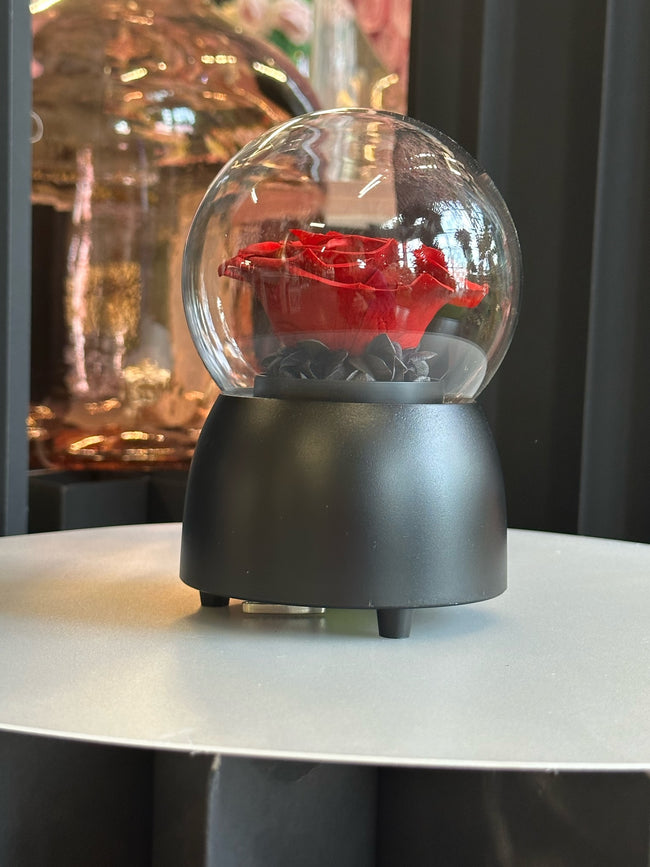 Boîte à musique A030R