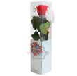 Mini rose stabilisée PRZ/2200